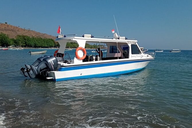 Snorkeling Trip to Menjangan Island - Who will enjoy this trip most?