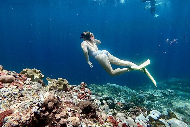 Snorkeling Trips with Manta Ray from Nusa Lembongan - Mangrove Point: A Gentler Final Stop