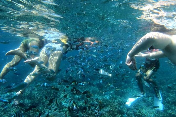 Snorkeling Trips with Manta Ray from Nusa Lembongan - Pickup, Meeting Point, and Timing Details
