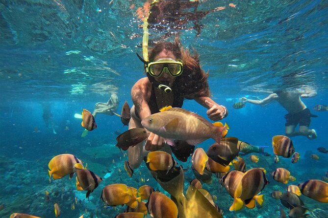 Snorkeling with Manta Rays in Their Habitat with Manta Point - What the GoPro package really gives you