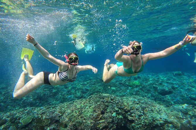 Snorkeling with Manta Rays in Their Habitat with Manta Point - Equipment, safety, and the comfort factor