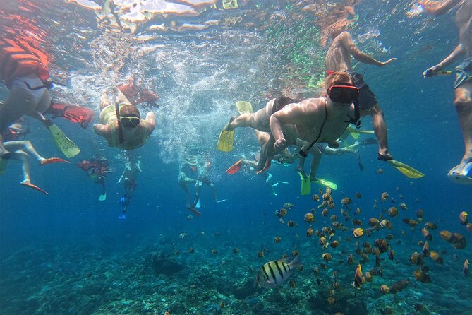 Snorkeling with Manta Rays in Their Habitat with Manta Point - Booking rules and weather changes