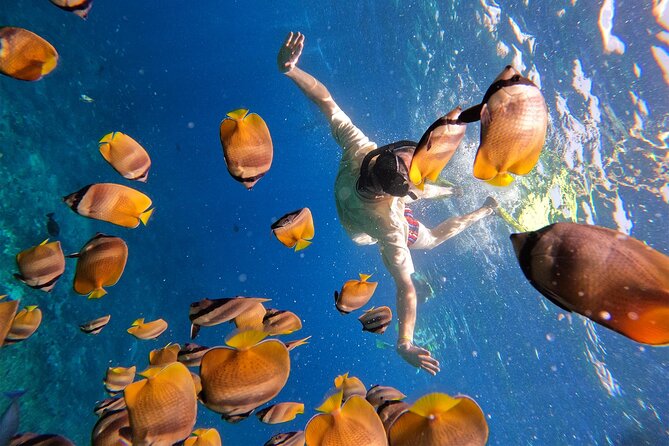 Snorkeling with Manta Rays in Their Habitat with Manta Point - Who will enjoy this Nusa Penida outing?