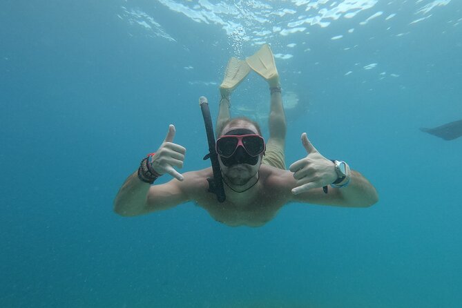 Snorkeling with turtle and statue in Gilis - Stop one: searching for sea turtles