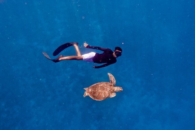 Snorkeling with turtle and statue in Gilis - Stop two: the underwater statues