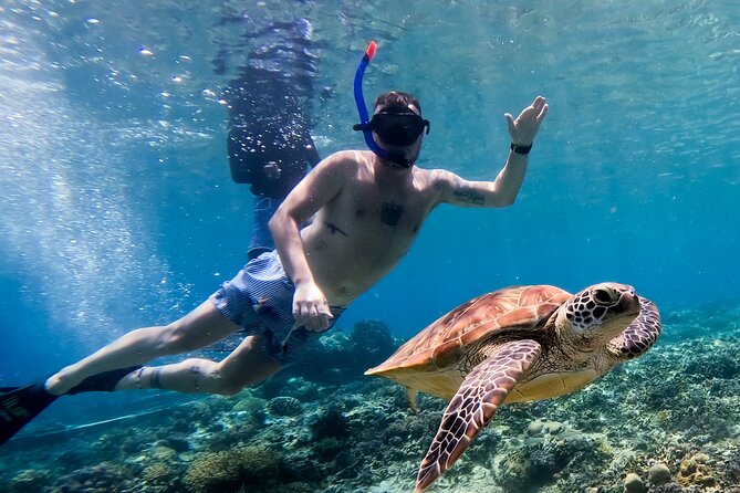 Snorkeling with turtle and statue in Gilis - Photos and videos are a real part of the value