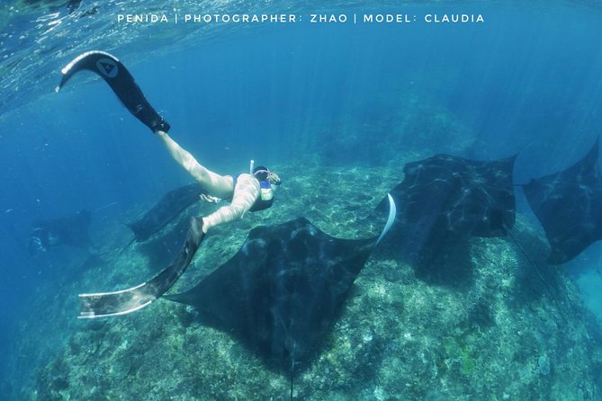 Snorkelling in Nusa Penida - Manta Point - Northern drift sites: a different kind of water time