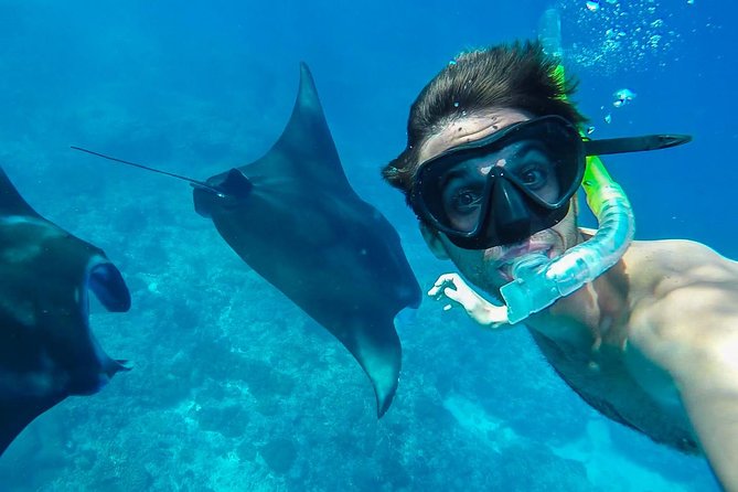 Snorkelling in Nusa Penida - Manta Point - Starting at Neptune Scuba Diving Bali in Sanur