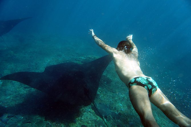 Snorkelling with Manta Rays at Nusa Penida and Lembongan - Who should book this snorkeling trip?