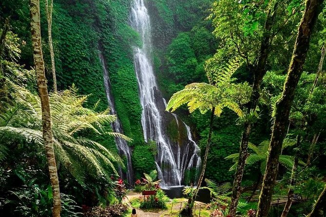 Tanah Lot and North Bali Tour: Scenic Journey - Jatiluwih rice terraces and lunch with a view