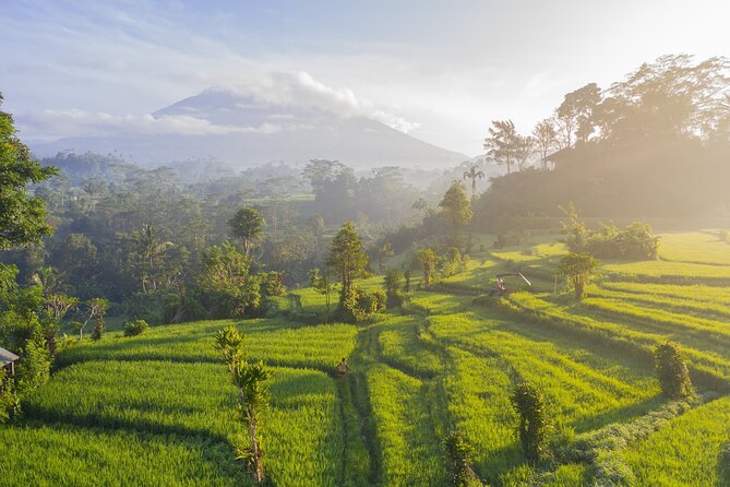 Tanah Lot - Jatiluwih (UNESCO) - Beratan lake -Hidden hill (Wanagiri)-FREE WI-FI - Wanagiri Hidden Hills and the twin-lake photographs