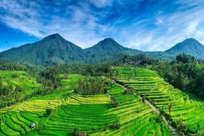 Tanah Lot - Jatiluwih (UNESCO) - Beratan lake -Hidden hill (Wanagiri)-FREE WI-FI - What the $37.50 tour price really covers