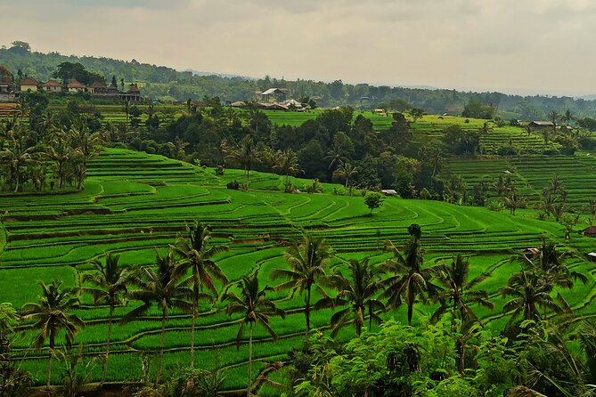 Tanah Lot Tour: Discover Bali’s Iconic Temple and Stunning Views - Timing, Route Questions, and What to Pack