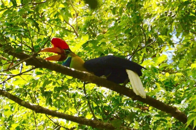 Tangkoko Bitung Manado Nature Tourism Park includes lunch. - Comfort, weather, and mobility concerns