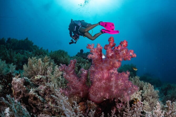 Tangkoko Bitung Manado Nature Tourism Park includes lunch. - Private tour promise and group-size warning