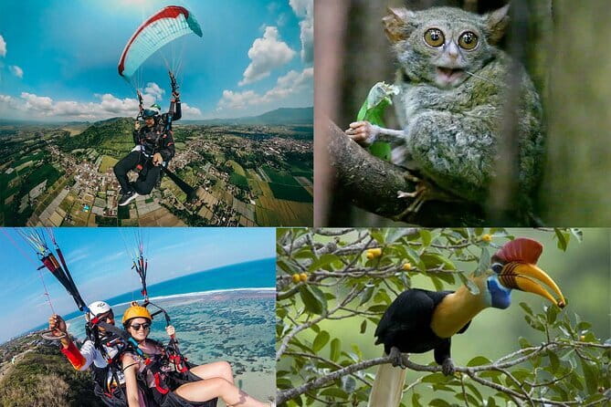 Tangkoko Bitung Manado Nature Tourism Park includes lunch. - Who will enjoy this North Sulawesi outing