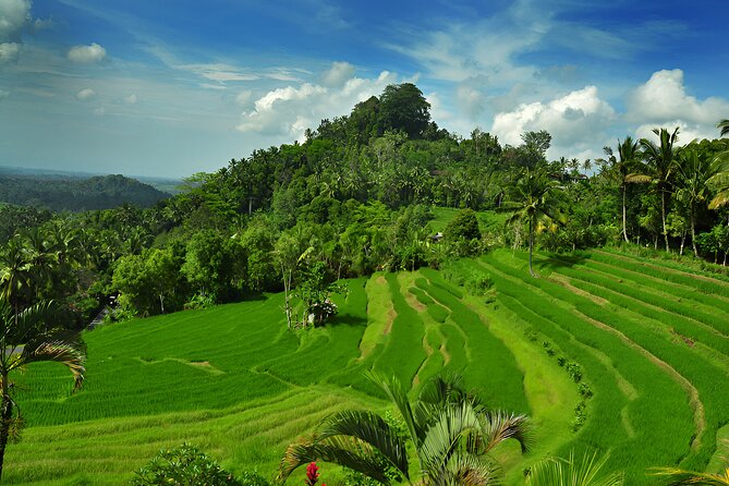 Telaga Waja White Water Rafting and Besakih Temple Tour - Kerta Gosa: royal architecture and painted ceilings