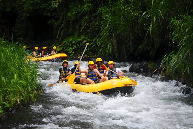 Telaga Waja White Water Rafting - With No Step or Stair : Bali Best Adventures - Buffet Lunch, Snacks, and What to Expect