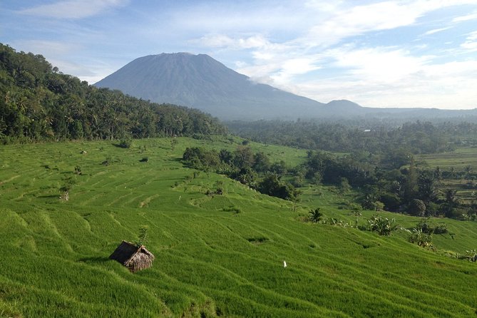 Tenganan Village Rice Field Trekking Tour - Why this East Bali route is worth your day
