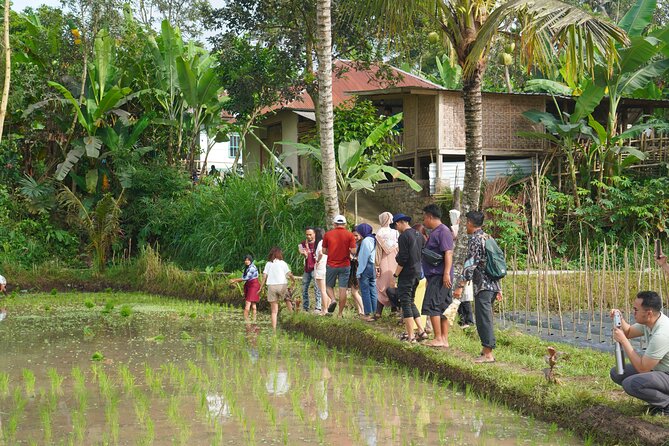 Tete Batu Tour (Culture, Rice Terraces and Waterfalls) - How the $72 price compares with the experience