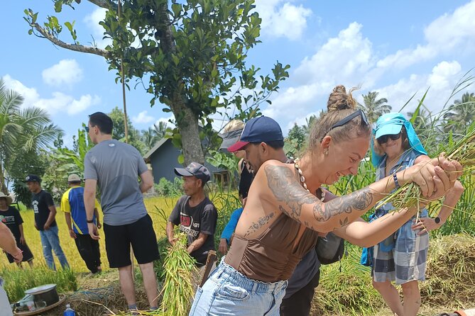 Tetebatu Guided Tour in Rice Terraces Waterfall and Monkey Forest - Jeruk Manis Waterfall and the short jungle trek