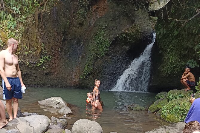 Tetebatu Guided Tour in Rice Terraces Waterfall and Monkey Forest - The guide and driver can shape the day