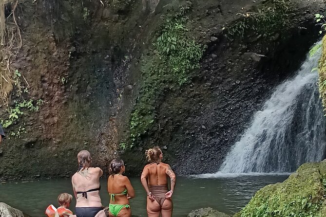 Tetebatu Guided Tour in Rice Terraces Waterfall and Monkey Forest - Is $75 a fair price?