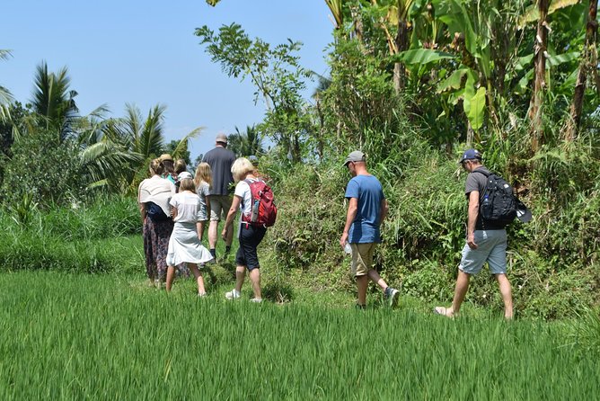 Tetebatu Walking Tour - Rice Terraces, Waterfall & Monkey Forest - Mount Rinjani views without a summit climb