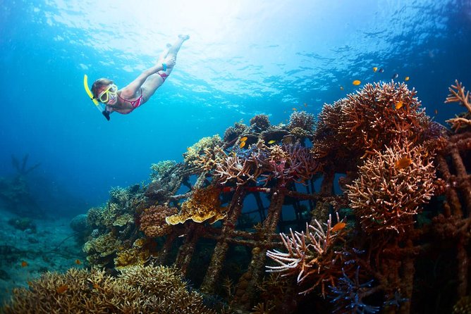 The Best 2-point Snorkeling in Padangbai: Blue lagoon and Tanjung jepun - Blue Lagoon at about 10:00 am