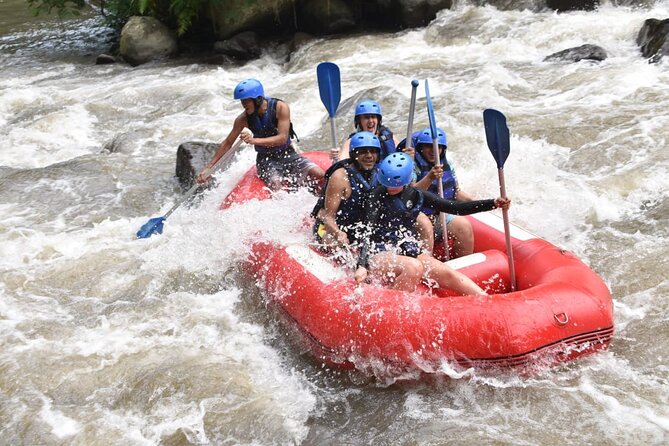 The Best Ayung River Rafting Adventure in Ubud - What the $50 price really buys