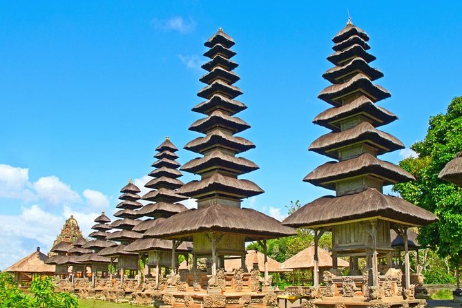 The Three Temples of Bali Half Day Private Tour - Alas Kedaton, where the temple shares the forest