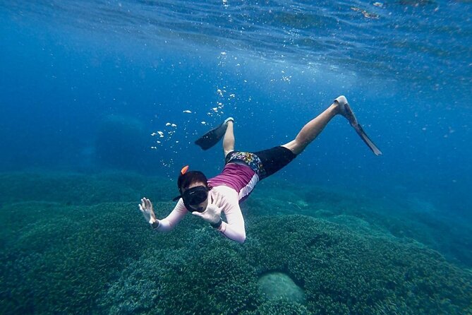 Three Islands Snorkeling (3 Spots) Manta Rays - From Lembongan - Underwater photos add useful value