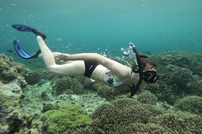 Three Islands Snorkeling (3 Spots) Manta Rays - From Lembongan - Manta Bay is the reason to choose this tour