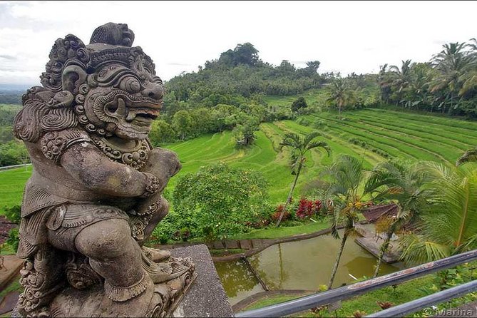 Tour: Besakih Temple-Kintamani Volcano-Water temple&Rice Terrace - Tegalalang Rice Terrace and the famous green views