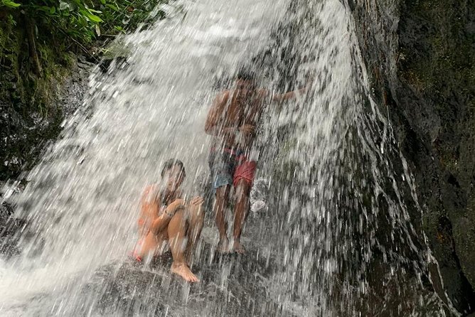 TOUR PACKAGE (jungle trekking, taxi, Room) 4 DAYS 3 NIGHTS in BUKIT LAWANG - Food, water, and the practical comforts of the trek