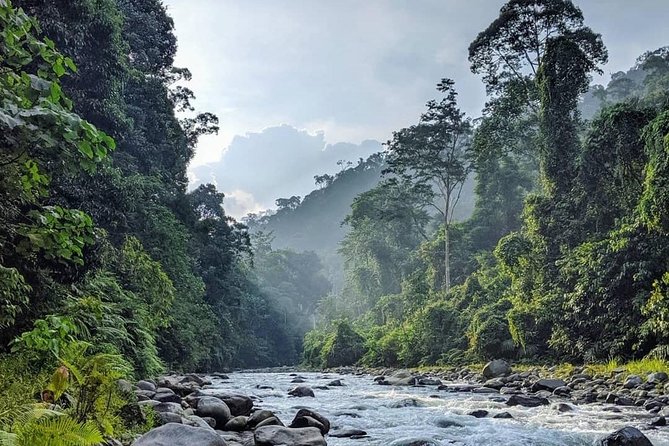 TOUR PACKAGE (jungle trekking, taxi, Room) 4 DAYS 3 NIGHTS in BUKIT LAWANG - Day 4: Returning to Medan