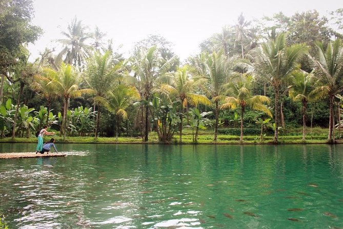 Traditional Balinese Cooking Class with Ubud Tour - Tanah Lot and Bali’s famous sunset view