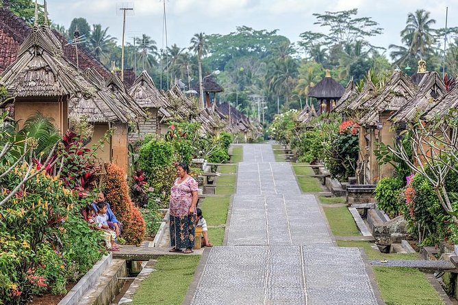 Trunyan Cemetery, Hot Spring, Penglipuran Village, and Waterfall Tour - Who should choose this Bali tour?