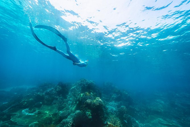 Try Freediving on Nusa Penida - How the $150 price measures up