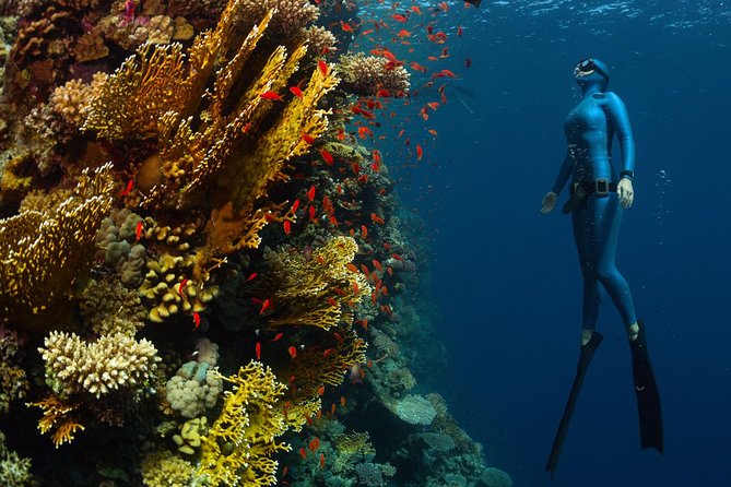 Try Freediving on Nusa Penida - Who will get the most from this course