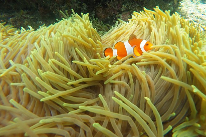Try Scuba Diving at Padang Bai - Small details that make the day easier