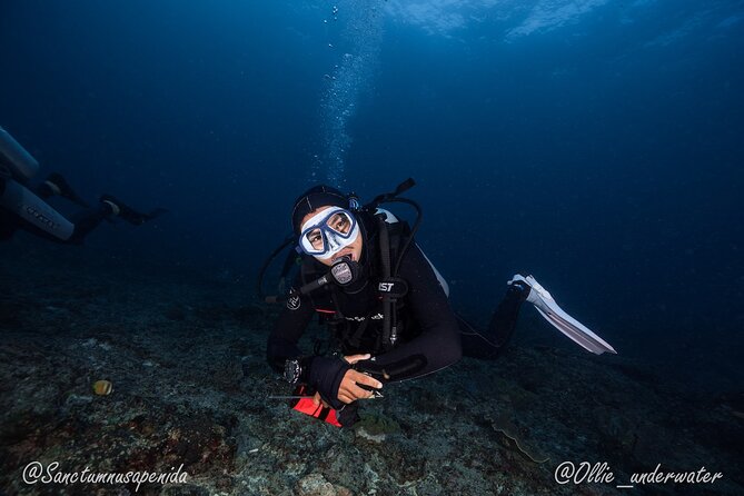 Try Scuba Diving for Beginners with manta rays (Non - Certified) - Why manta rays make this beginner trip special