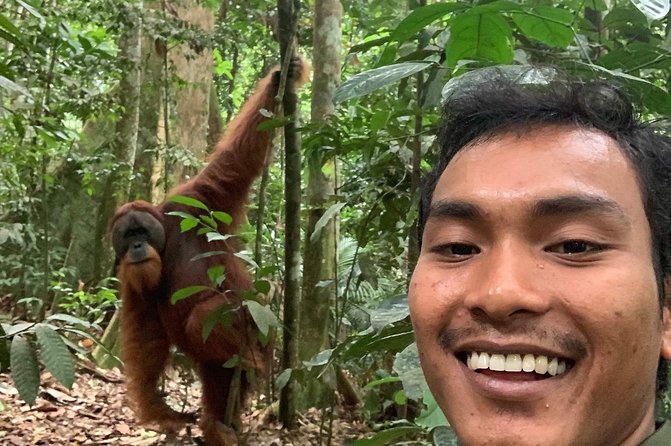 Two days orangutans adventure in Gunung Leuser - Guide style and the human side of the trip
