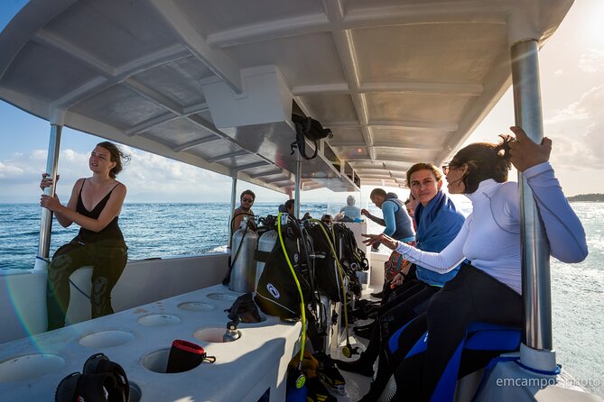 Two fun dives morning trip (Certified Divers only) - The first and second underwater sessions