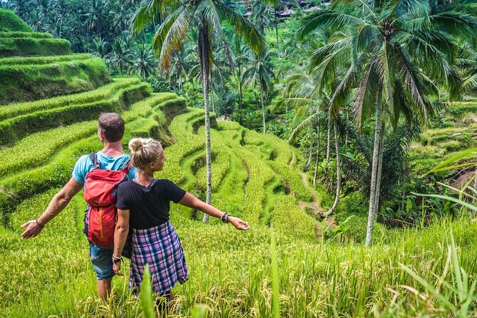 Ubud Adventure All Inclusive Private Day Tour - Tegenungan Waterfall: the day’s natural finale