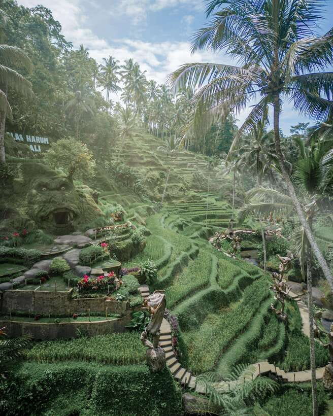 Ubud: Alas Harum Day-Pass, Swing, Sky Bike & Flying Fox - The Super Extreme Swing at 25 meters