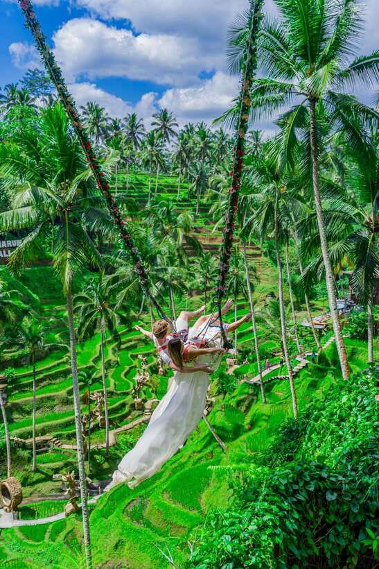 Ubud: Alas Harum Day-Pass, Swing, Sky Bike & Flying Fox - Pedaling the Sky Bike 15 meters up