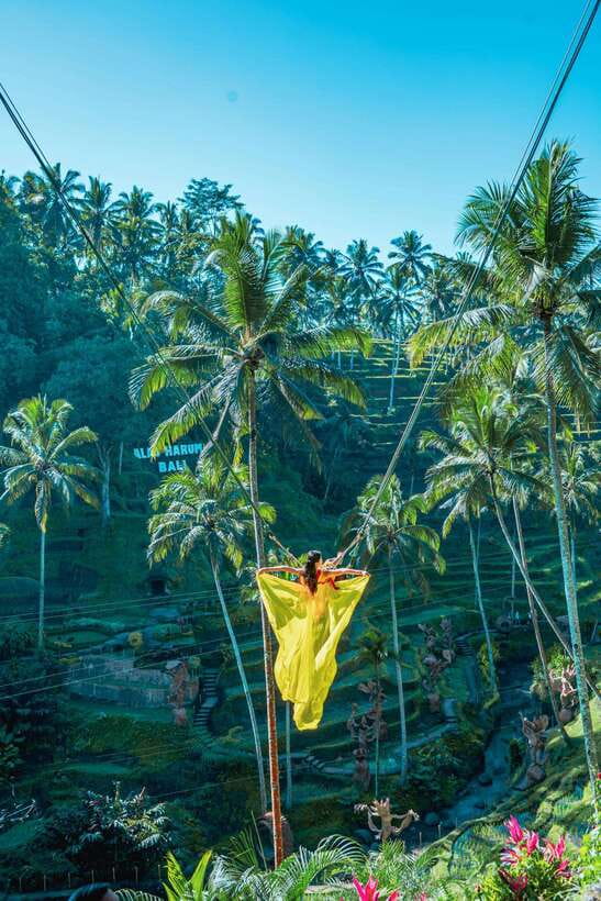 Ubud: Alas Harum Day-Pass, Swing, Sky Bike & Flying Fox - The 300-meter Flying Fox