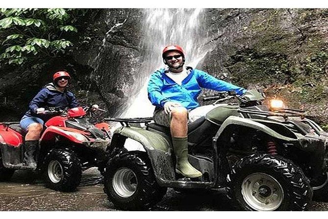 Ubud ATV Quad Bike, Monkey Forest and Rice Terrace - Meeting Ubud’s macaques at Monkey Forest