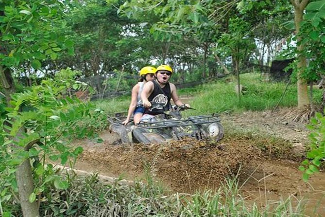Ubud ATV Quad Bike, Monkey Forest and Rice Terrace - Tegalalang Rice Terrace in 90 minutes